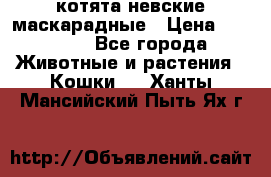 котята невские маскарадные › Цена ­ 18 000 - Все города Животные и растения » Кошки   . Ханты-Мансийский,Пыть-Ях г.